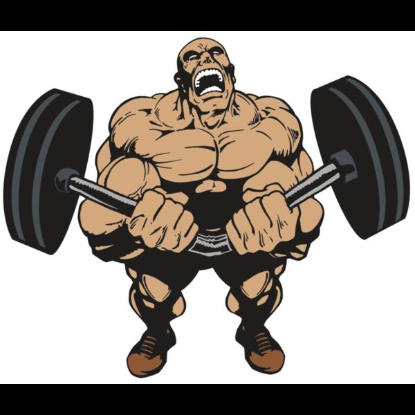 AR WEIGHTS 54 RC Thumbnail