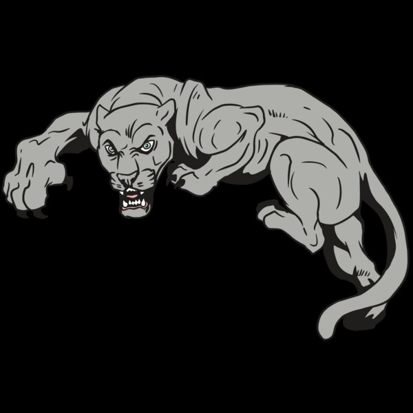 AR10 PANTHER 02 RQC Thumbnail