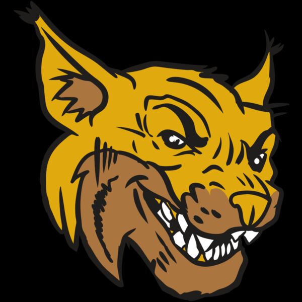 AR15 WILDCAT 01 RQC Thumbnail